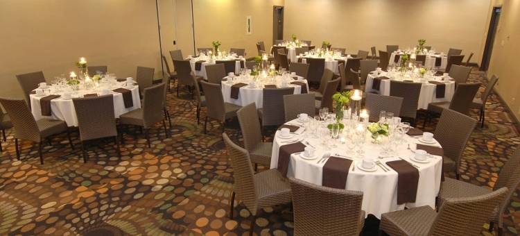 达拉斯爱田希尔顿大使套房酒店(Embassy Suites by Hilton Dallas Love Field)图片
