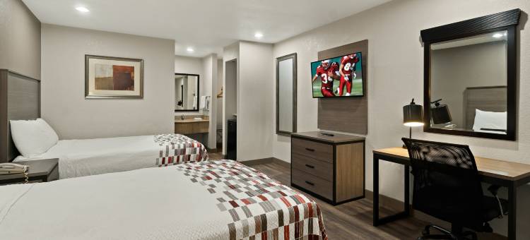 欧文 - 达拉斯沃斯堡国际机场南红屋顶套房酒店(Red Roof Inn & Suites Irving - DFW Airport South)图片