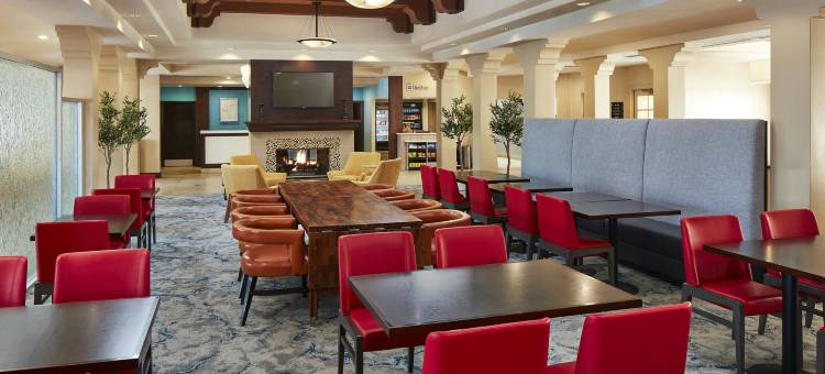 瓦伦西亚六旗希尔顿花园酒店(Hilton Garden Inn Valencia at Six Flags)图片