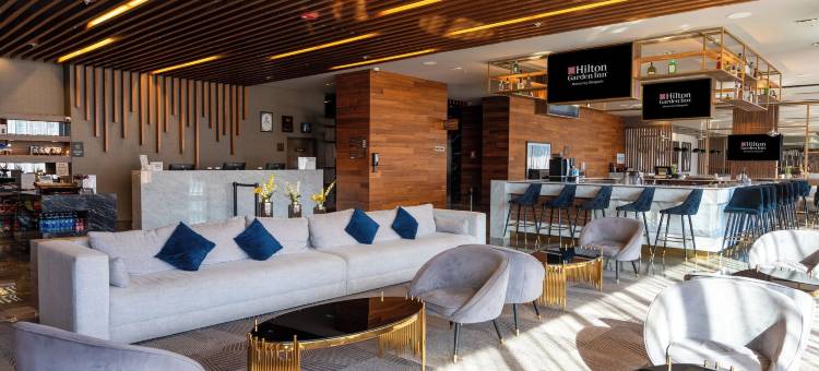 蒙特雷欧比斯帕多希尔顿花园酒店(Hilton Garden Inn Monterrey Obispado)图片