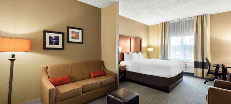 舒适套房酒店(Comfort Inn & Suites Near Kino Sports Complex)图片