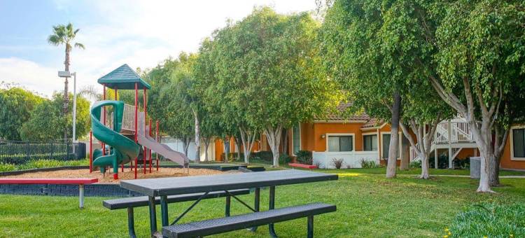 阿纳海姆克莱门汀套房酒店(Clementine Hotel & Suites Anaheim)图片