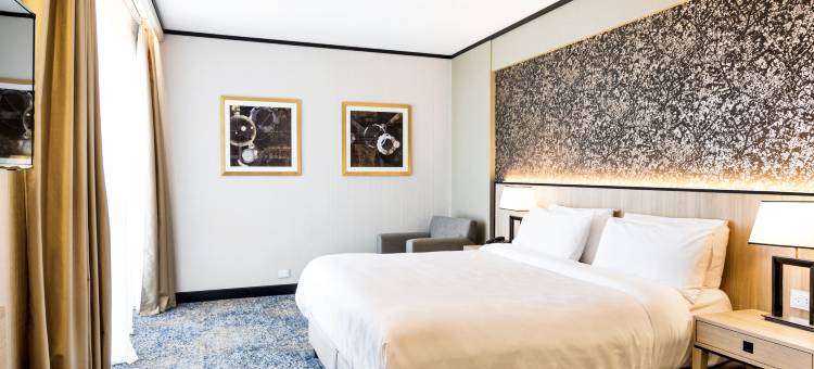 Holiday Inn 罗萨里奥(Holiday Inn Rosario)图片