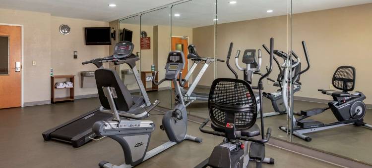 不伦瑞克舒眠酒店(Sleep Inn & Suites)图片