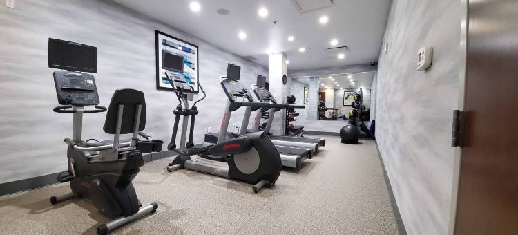 纽约布鲁克林万枫套房酒店(Fairfield Inn & Suites New York Brooklyn)图片