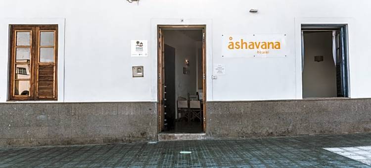 阿沙瓦纳巢旅舍(Ashavana Nest Hostel)图片