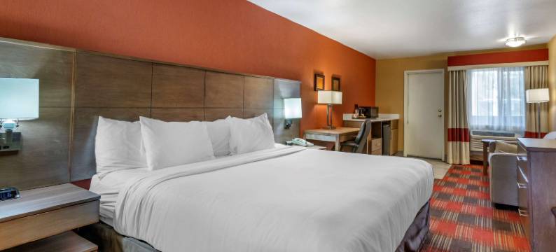 舒适酒店-费拉格尔斯塔夫幸运巷I-40(Comfort Inn Flagstaff Lucky Lane I-40)图片