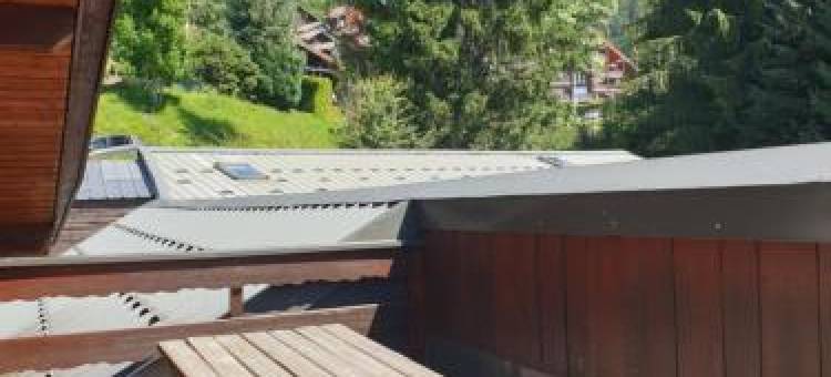 Demi-Chalet le Bief --Prox Pistes图片