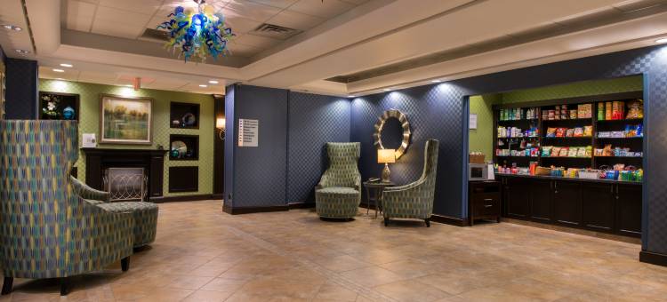 智选假日套房酒店迪克森城 - 斯克兰顿(Holiday Inn Express & Suites Dickson City - Scranton)图片