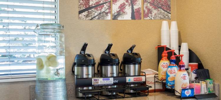 红顶PLUS酒店-哥伦布都柏林(Red Roof Plus+ Columbus - Dublin)图片