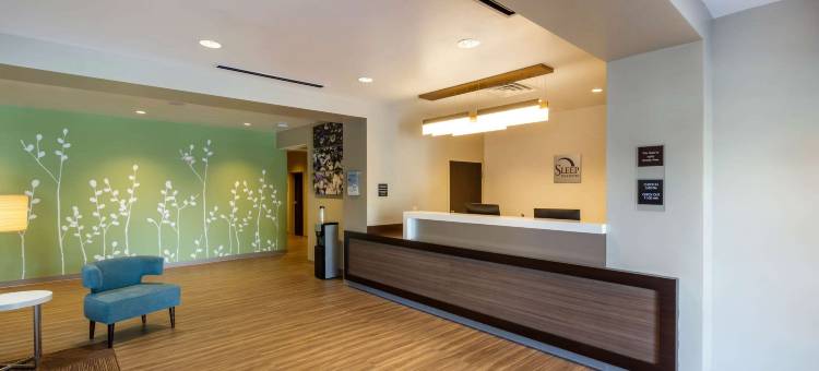 坦帕南部舒眠套房酒店(Sleep Inn & Suites Tampa South)图片