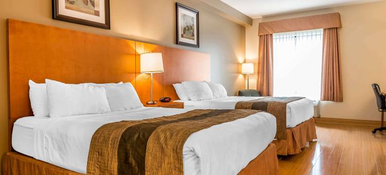 霍克斯伯里品质套房酒店(Quality Inn & Suites)图片