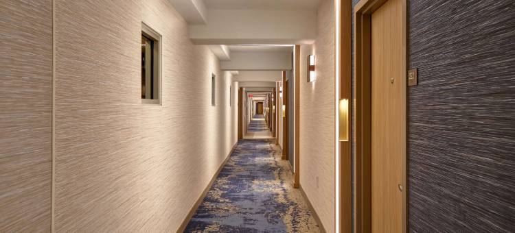 维吉尼亚海滩海滨南希尔顿逸林酒店(DoubleTree by Hilton Virginia Beach Oceanfront South)图片