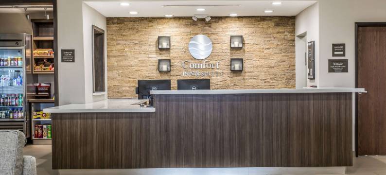 舒适套房酒店(Comfort Inn & Suites Snyder)图片