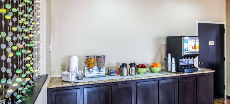 莫林-阔德城凯艺套房酒店(Quality Inn & Suites Moline - Quad Cities)图片