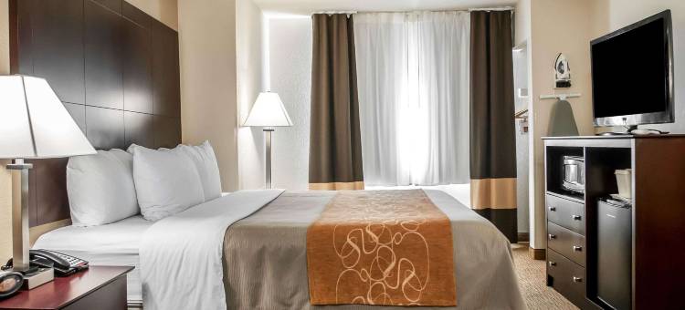 阿尔伯克基北气球嘉年华公园舒适套房酒店(Comfort Suites Albuquerque-North Journal Center)图片