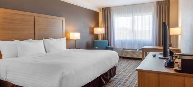 凯艺酒店(Quality Hotel)图片