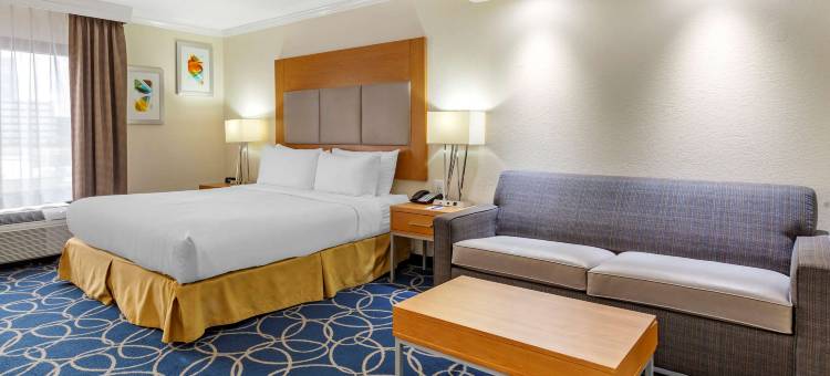 休斯顿I-10西能源走廊舒适套房酒店(Comfort Inn & Suites Houston I-10 West Energy Corridor)图片
