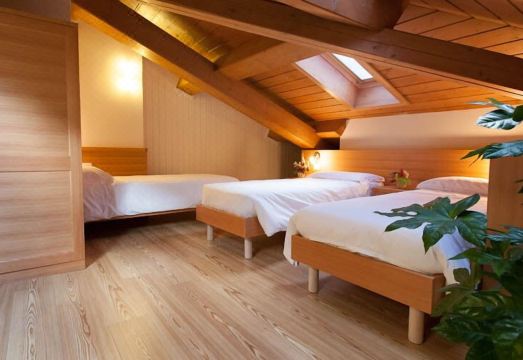 Appartamenti Regina Hotel Overview