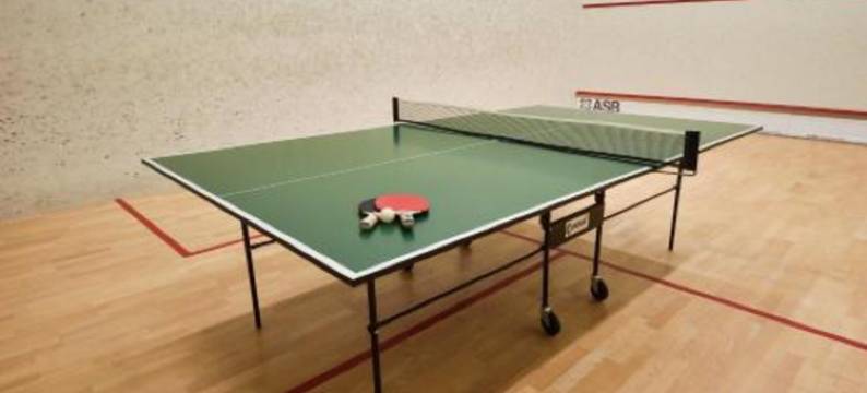 瑞萨维酒店(Hotel Rysavy)图片