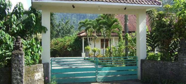 安乐居旅馆(Guesthouse Rumah Senang)图片