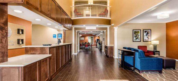 布莱恩-本顿特舒适套房酒店(Comfort Inn & Suites Bryant - Benton)图片