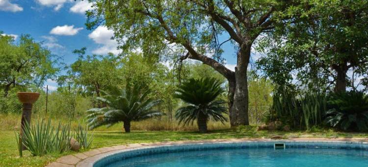 廷格拉旅舍(Tingala Lodge - Bed in the Bush)图片