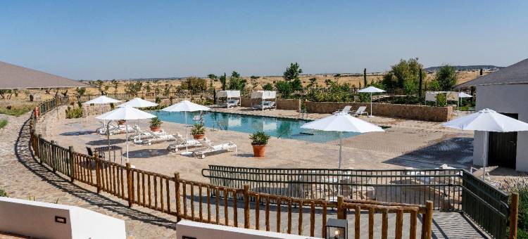 阿雷纳莱斯宫殿霍斯皮斯水疗旅馆(Hospes Palacio de Arenales & Spa)图片