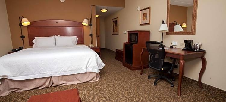 希尔顿欢朋酒店-奥尼昂塔(Hampton Inn Oneonta)图片