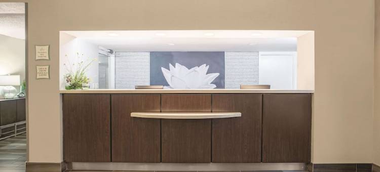 劳德代尔堡塔玛拉克拉昆塔温德姆套房酒店(La Quinta Inn & Suites by Wyndham Fort Lauderdale Tamarac)图片