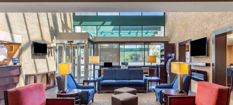 橡树溪阳台近橡树溪中心舒适全套房酒店(Comfort Suites Oakbrook Terrace Near Oakbrook Center)图片