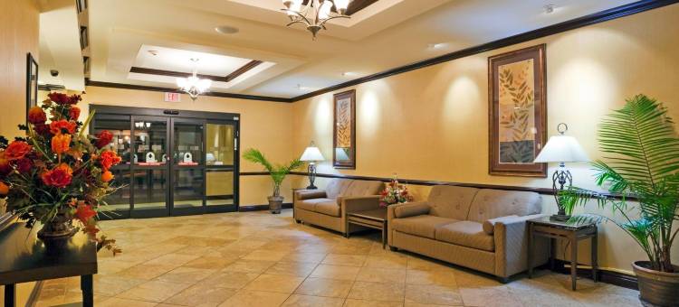 塞尔马智选假日套房酒店(Holiday Inn Express & Suites Selma)图片