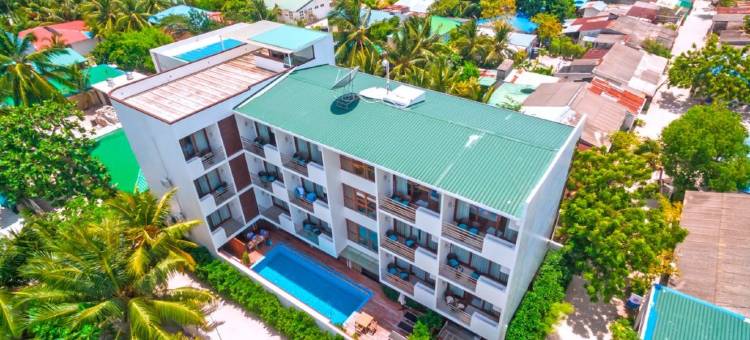 马尔代夫羽毛酒店(Plumeria Maldives)图片