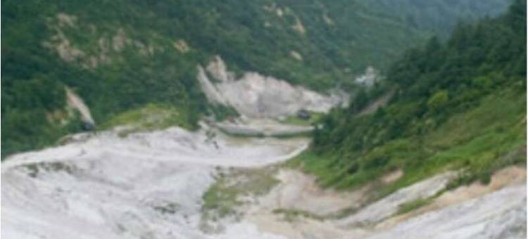 鸣子酒店(Naruko Hotel)图片