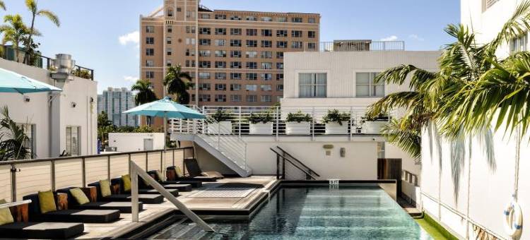 珀斯南海滩酒店(Posh South Beach)图片