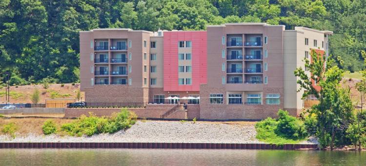 查塔努加市中心/卡梅隆港万豪SpringHill酒店(SpringHill Suites Chattanooga Downtown/Cameron Harbor)图片