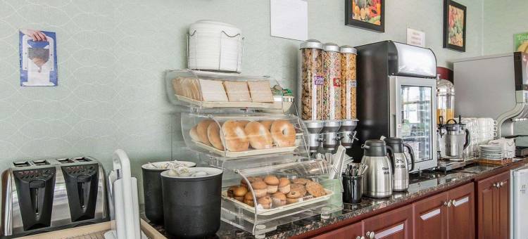 品质套房酒店(Hotel Quality Suites)图片