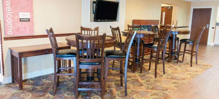 新荷兰阿米什乡村舒适酒店(Comfort Inn Amish Country)图片