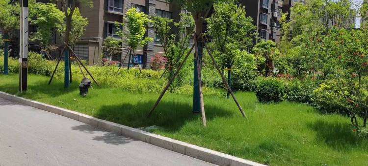 1006西安公寓(航天北路分店)图片