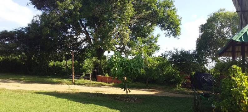 Cabana de Descanso, Isla de Baru - Cartagena - Rest Cabin, Baru Island -Bolivar图片