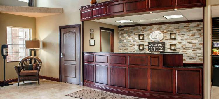 舒适套房酒店(Comfort Suites)图片