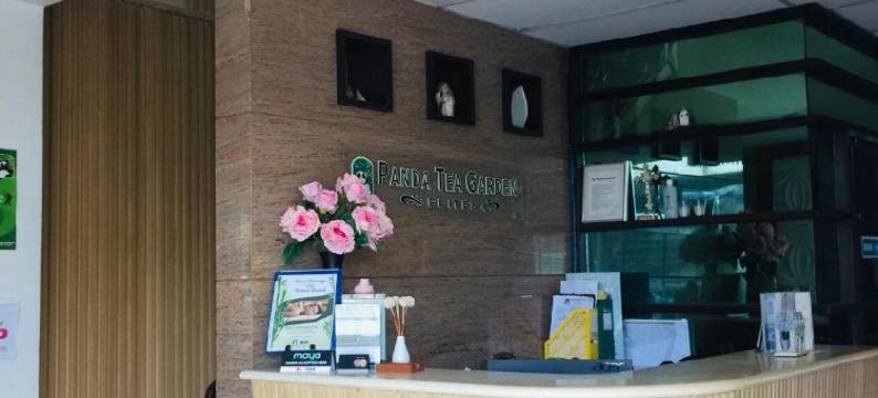 熊猫茶园套房酒店(Panda Tea Garden Suites)图片