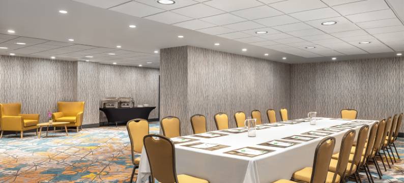 多伦多中心假日酒店(Holiday Inn TORONTO DOWNTOWN CENTRE by IHG)图片