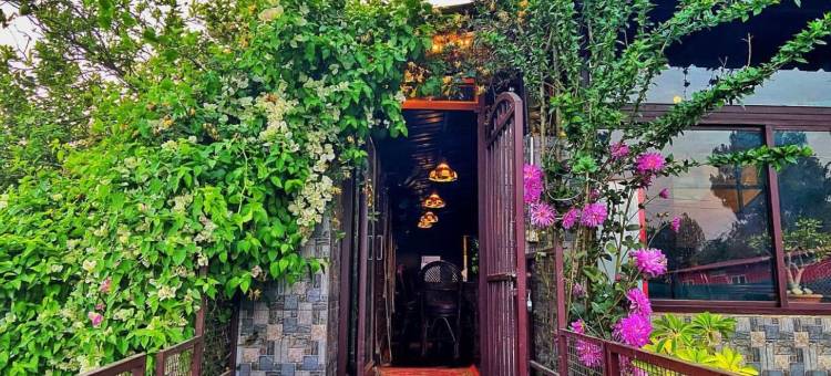 Samskara & Samsara图片