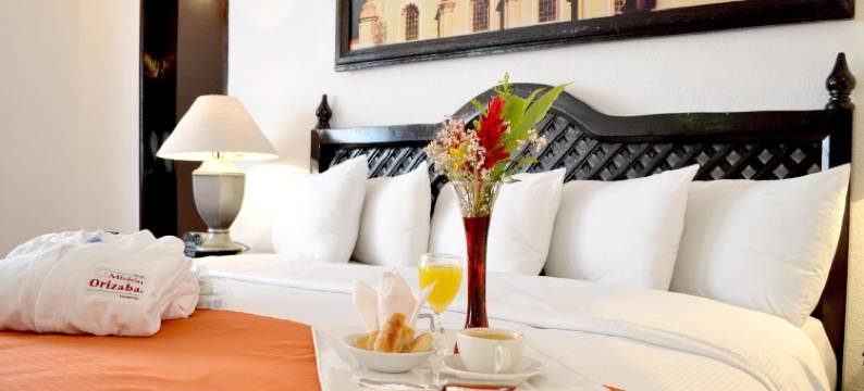 奥里萨巴使命酒店(Hotel Misión Orizaba)图片