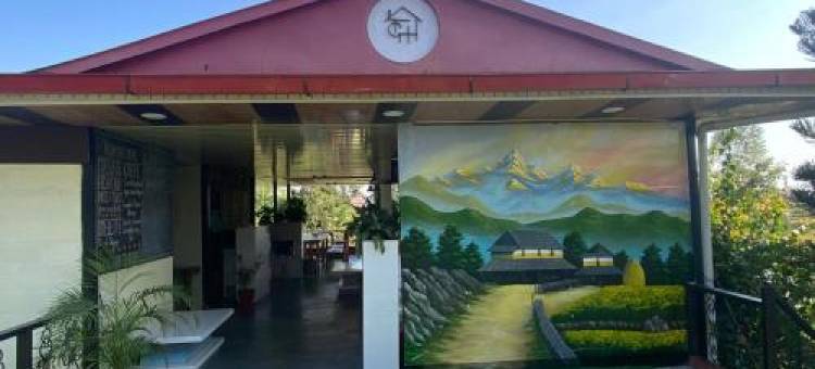 The Glasshouse Hotel图片