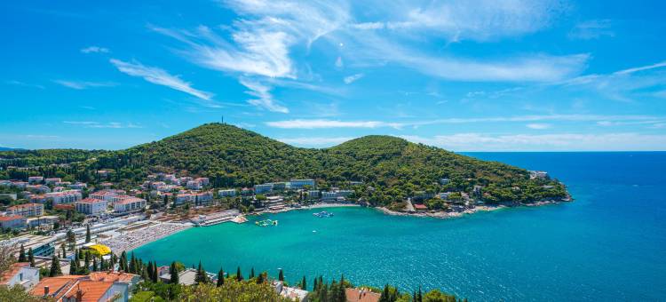 维斯酒店(Hotel Vis)图片