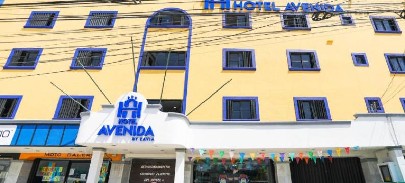 坎昆大道酒店(Hotel Avenida Cancun)图片