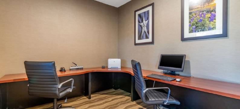 舒适套房酒店-圣安东尼奥北斯通奥克(Comfort Suites San Antonio North - Stone Oak)图片