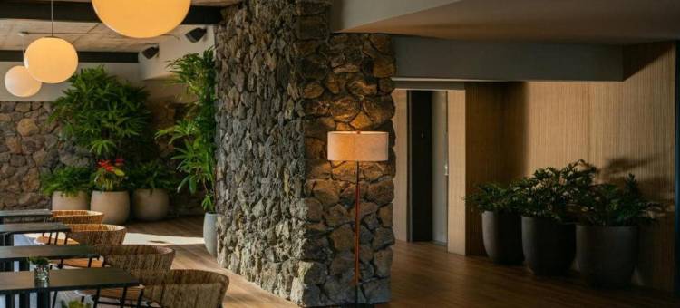 科纳太平洋19号(Pacific 19 Kona)图片